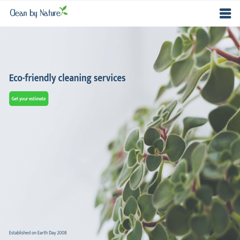 clean by nature llc